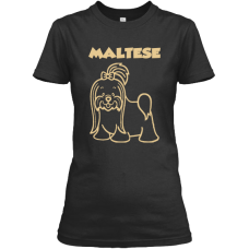 Maltese Gold Maltese Gold